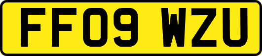 FF09WZU