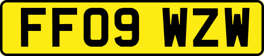 FF09WZW