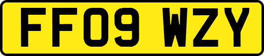 FF09WZY