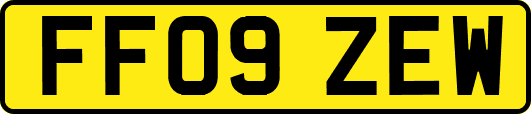 FF09ZEW