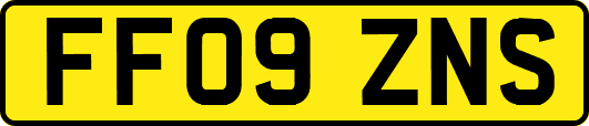 FF09ZNS