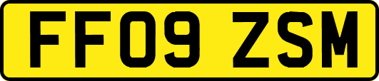 FF09ZSM