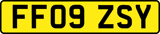 FF09ZSY