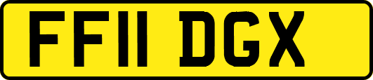 FF11DGX