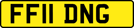 FF11DNG