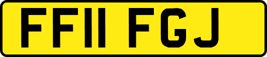 FF11FGJ