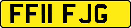 FF11FJG