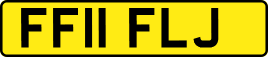 FF11FLJ