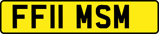 FF11MSM
