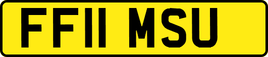 FF11MSU
