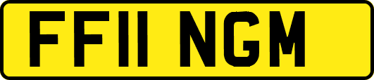 FF11NGM