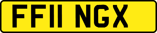 FF11NGX