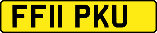 FF11PKU