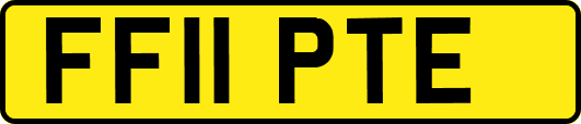 FF11PTE