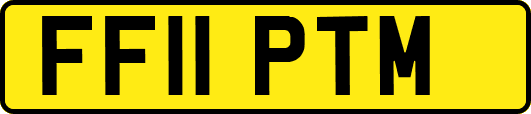 FF11PTM