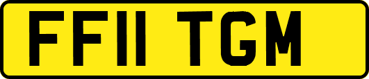 FF11TGM