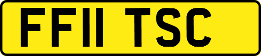 FF11TSC