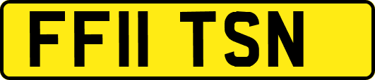 FF11TSN