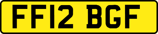 FF12BGF