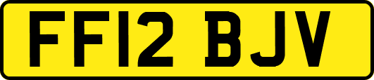 FF12BJV