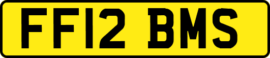 FF12BMS