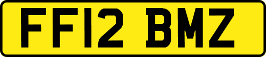 FF12BMZ