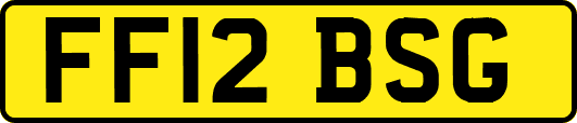 FF12BSG