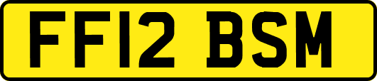 FF12BSM