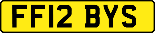 FF12BYS