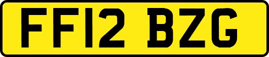 FF12BZG