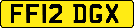 FF12DGX