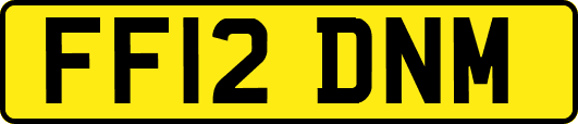 FF12DNM
