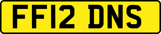 FF12DNS