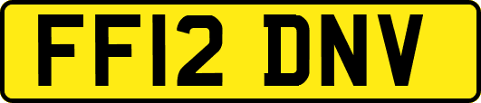 FF12DNV