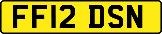 FF12DSN