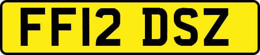 FF12DSZ