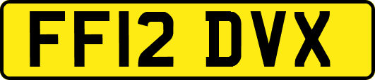 FF12DVX