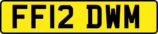 FF12DWM
