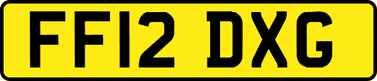 FF12DXG
