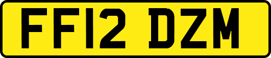 FF12DZM