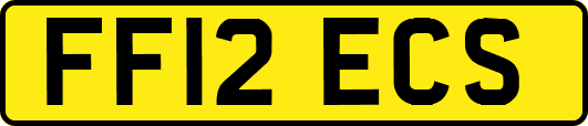 FF12ECS