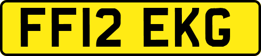 FF12EKG