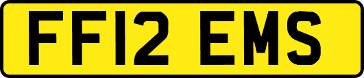 FF12EMS