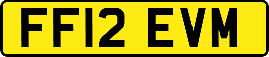 FF12EVM
