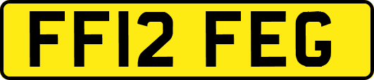 FF12FEG