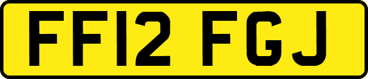 FF12FGJ