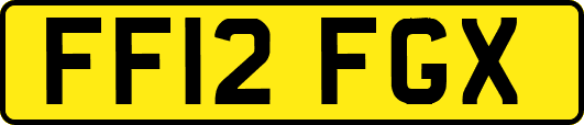 FF12FGX