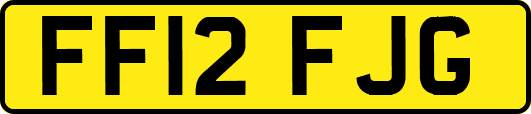 FF12FJG
