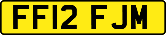 FF12FJM
