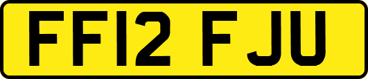 FF12FJU
